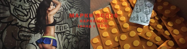 шишки Алексин