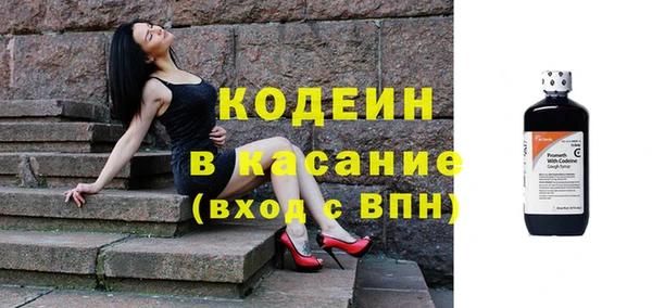 шишки Алексин